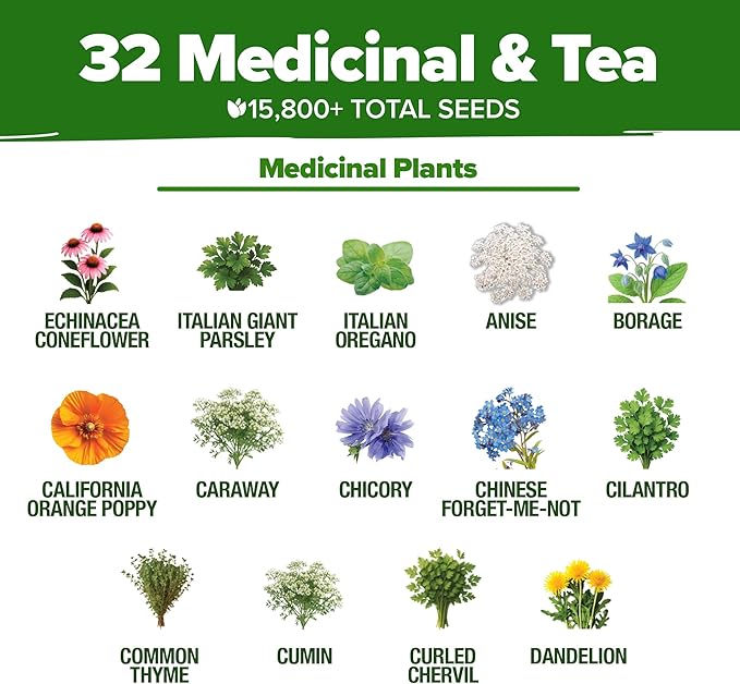 HOME GROWN Herb Seeds 32 Medicinal Herbs and Tea Variety Pack – Annual & Perennial Herb Seeds for Planting Indoors & Outdoor – Non-GMO, Heirloom Seeds, Easy to Grow, High Germination Garden Kit