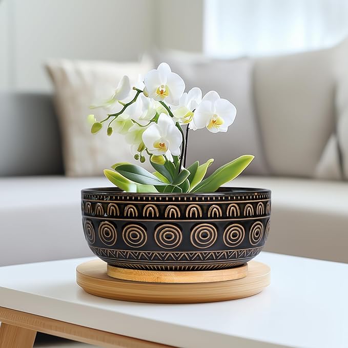 Eightpot Ceramic Bonsai Pots - 8 Inch Plant Pot for Succulent, Round Planter for Indoor Plants, Shallow Planters with Drainage Hole and Tray, Boho Bonsai Bowl, Living Room Decor, Black