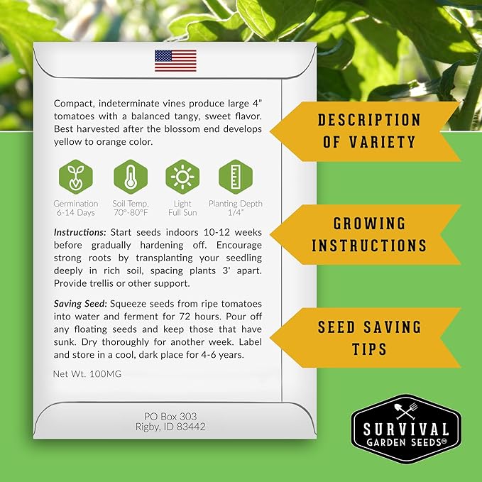 Cherokee Green Tomato Seeds for Planting – Heirloom Green Tomato Variety with Rich Sweet Flavor – Large Non-GMO Beefsteak Tomatoes for Slicing and Salads – Survival Garden Seeds (1 Pack)