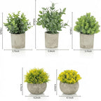 5 Pack Fake Plants, Artificial Eucalyptus & Greenery in Cement Pots - Small Potted Faux Plants for Indoor Outdoor Shelves, Desk, Table, Farmhouse Bathroom, Office & Modern Home Decor