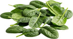 Spinach Seedlings: Ready-to-Plant, Starts, Starters, Plugs, Garden Ready, Live Plants, Transplants, Pre-Sprouted, Soil & Hydroponic Gardens (6 seedlings)