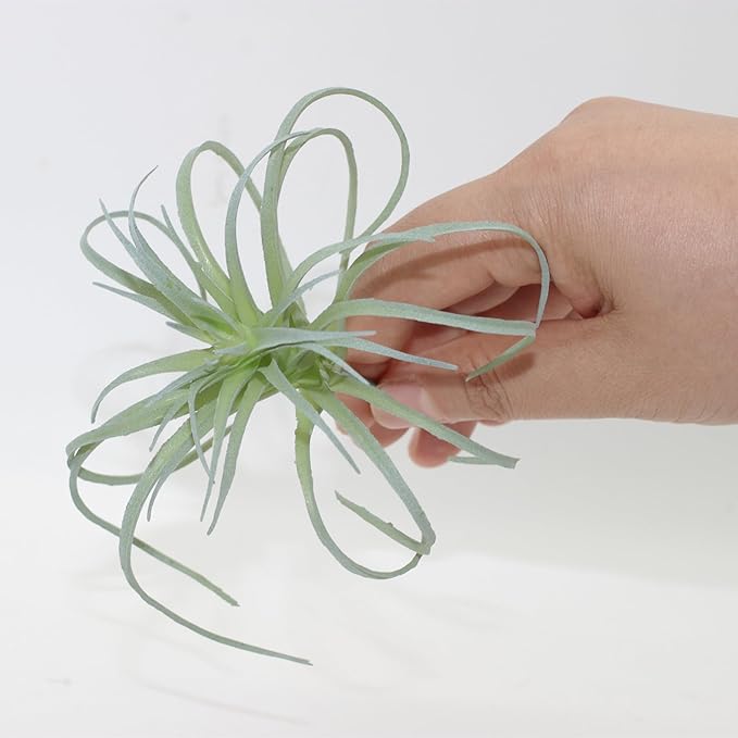 Small Artificial Air Plants Look Real Succulants Plant Faux Greenery Bromeliads for Garden Home Office Decoration (Green Flocking Air Plants)
