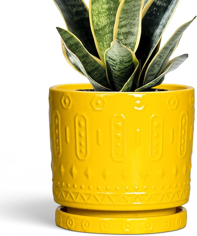 6 Inch Pots for Plants, Ceramic Pots for Plants with Drainage Holes and Tray, Round Planter for Indoor Outdoor, Modern Plant Pot, Decorative Flower Pot, Table Decor, Teacher Gift, Yellow