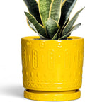 6 Inch Pots for Plants, Ceramic Pots for Plants with Drainage Holes and Tray, Round Planter for Indoor Outdoor, Modern Plant Pot, Decorative Flower Pot, Table Decor, Teacher Gift, Yellow
