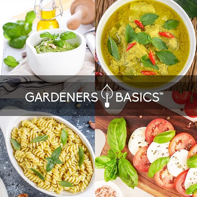 Gardeners Basics, Basil Seeds for Planting Home Garden Herbs - 5 Variety Herb Pack Thai, Lemon, Cinnamon, Sweet and Dark Opal Basil Seeds Herb Seeds for Indoors, Outdoors, Hydroponics & Aquaponic