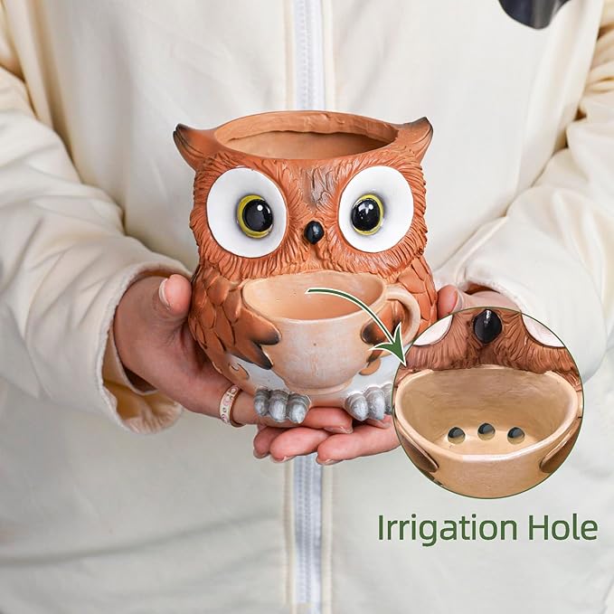Saysmile Unique Owl Plant Pots Indoor, Cute Small Succulent Pots with Drainage Hole, Watering Owl Planters for Indoor Outdoor Plants, Resin Flower Pot for String of Pearls, Gift Ideas for Mother