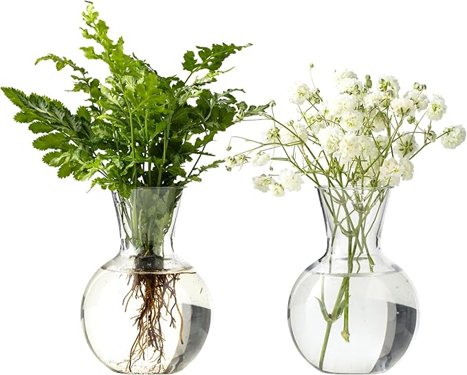 Plastic Propagation Vases (2 Bulbs),Desktop Plant Terrarium for Indoor Plants - Hydroponics Containers for Home Office Desk Decor, mini Gardening Gifts for Women Who Love Plants (2PCS)
