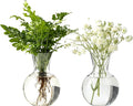 Plastic Propagation Vases (2 Bulbs),Desktop Plant Terrarium for Indoor Plants - Hydroponics Containers for Home Office Desk Decor, mini Gardening Gifts for Women Who Love Plants (2PCS)