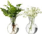 Plastic Propagation Vases (2 Bulbs),Desktop Plant Terrarium for Indoor Plants - Hydroponics Containers for Home Office Desk Decor, mini Gardening Gifts for Women Who Love Plants (2PCS)
