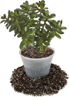 GARDENERA Premium Jade Plant Potting Soil Mix - (4 Quart Bag)