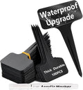 DaTpuik 100 Pcs Waterproof Black Durable Plastic Plant Outdoor Garden Labels Nursery Markers T-Type Thick Tags Re-Usable for Vegetables Seedlings