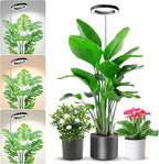 Plant Grow Light, 80LED Growing Light Full Spectrum for Indoor Plants, Height Adjustable 10"-65", Auto Timer 6/12/16H, 3 Optional Spectrums, Idea for Large Plant Light, 5V, Black, 1 Pack
