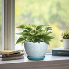 Ceramic Plant Pot - 6 Inch Indoor Planters for Succulent Plants, Round Decorative Flower Pot with Drainage Hole and Saucer, Small Plant Pots, Room Decor, Gifts for Gardeners, Crackle Blue