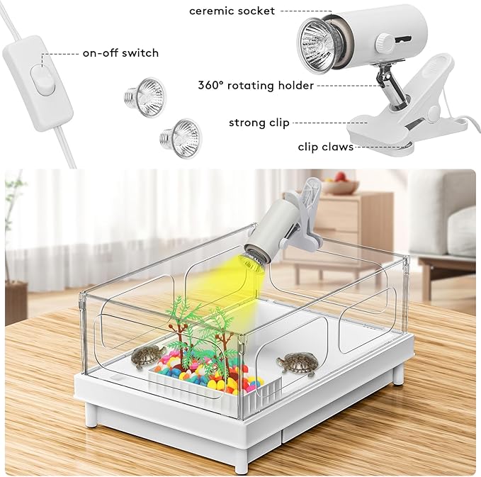 Turtle Tank Kit - Starter Aquarium with Light, Filter, Brush, Easy to Install & Clean, for Turtles, Crabs, Small Reptiles