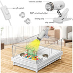 Turtle Tank Kit - Starter Aquarium with Light, Filter, Brush, Easy to Install & Clean, for Turtles, Crabs, Small Reptiles