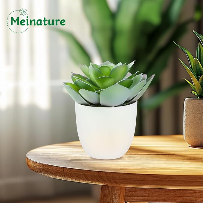 Lifelike Artificial Succulent Plants in White Large Basin - 5.5 Inch Diameter Large Flowers, Green & White, Ideal for Home and Office Table Decoration