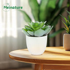 Lifelike Artificial Succulent Plants in White Large Basin - 5.5 Inch Diameter Large Flowers, Green & White, Ideal for Home and Office Table Decoration