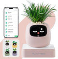 Smart Planter with App Control, Self-Watering AI Plant Pot with LCD Display, Interactive Desk Plant Companion for 100+ Plants, Smart Indoor Planter with Pomodoro Timer,80ml Reservoir,Calendar-Pink