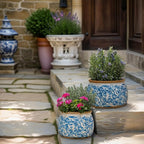 Vintage Ceramic Flower Pots - Indoor Outdoor Planters with Drainage Holes & Filter Screen, 6.5’’& 9’’ Rustic Farmhouse Decorative Plant Pots for Garden/Patio (Blue Vines, Small to Large Bundle)