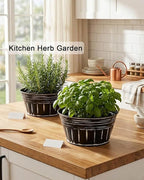 vensovo 8 Inches Black Metal Rustic Plant Pots - 6Pcs Shallow Galvanized Planters with Drain Hole and Rubber Plug, Rustproof Tin Bucket Succulent Pot Indoor Farmhouse Vintage Style for Decor