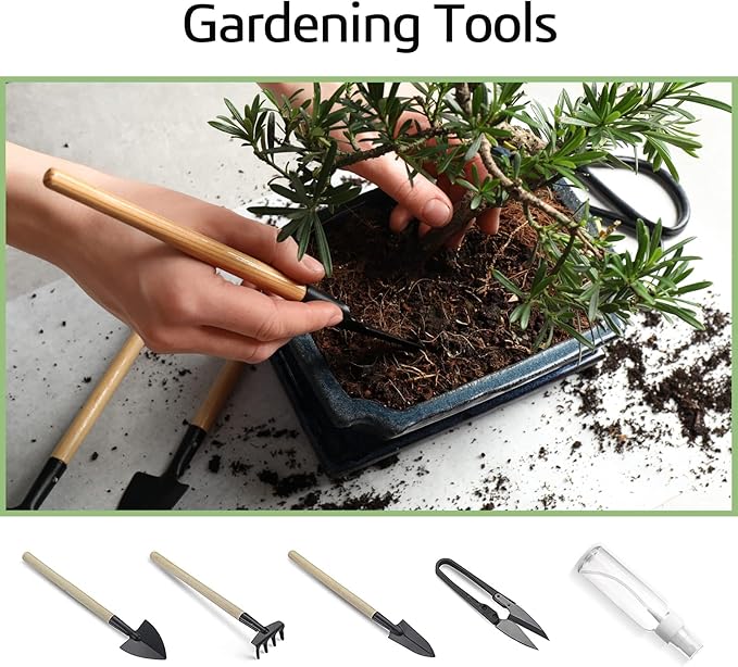 Bonsai Tree Kit with Complete Growing Starter Kit, Great Potted Growing DIY Gift for Adults