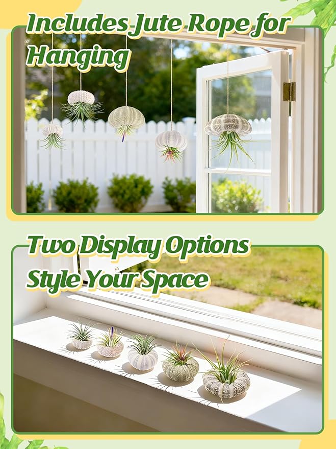 5 Pack Mini Sea Urchin Shell Air Plant Holders- 5 Styles Decorative Hanging Air Plant Pot, Tillandsia Succulent Display Container for Home Gardening Gifts Garden Beach Theme Party Decors, No Plants