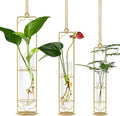 MIPON Metal Hanging Plant Propagation Station,3 Size Glass Test Tube Hydroponic Planter,Boho Wall Hanging Plant Cuttings Holder,Indoor Water Plant Terrarium Tubes for Home Office Window Decor-Gold
