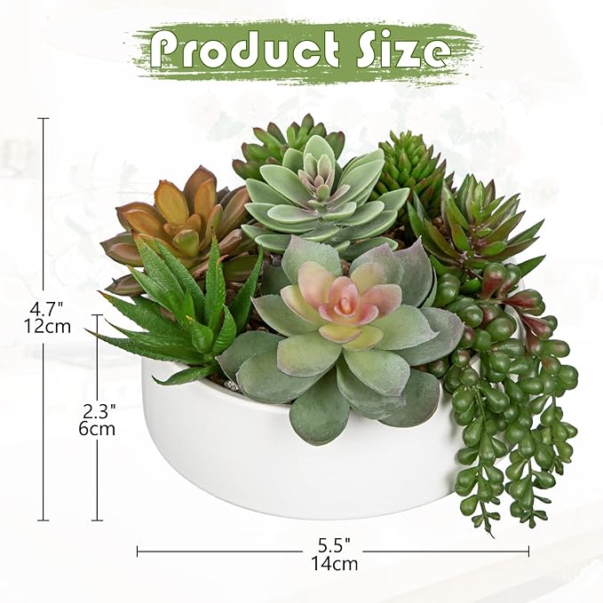 DILATATA Artificial Succulent Plants in Pot 5.5 Inch Fake Succulents Arrangement Potted Plant in White Ceramic Planter Bowl for Home Office Desk Shelf Living Room Bedroom Bathroom Decor