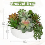 DILATATA Artificial Succulent Plants in Pot 5.5 Inch Fake Succulents Arrangement Potted Plant in White Ceramic Planter Bowl for Home Office Desk Shelf Living Room Bedroom Bathroom Decor