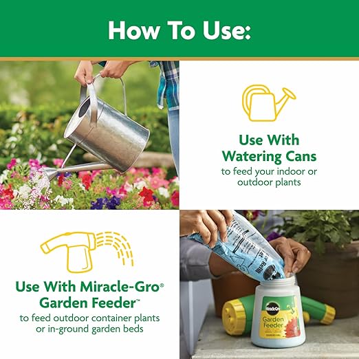 Miracle-Gro Water Soluble All Purpose Plant Food - Fertilizer For All Indoor or Outdoor Plants including Roses, Flowers, Vegetables, Houseplants, Trees, and Shrubs, 6.25 lbs.