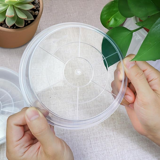 FUIJOL 6 Pack Clear Plant Saucer, Durable Plant Drip Trays Saucers for Pots, No Holes Water Catcher Trays for Indoor Outdoor Planter, Sturdy Base Plate(8", Clear)