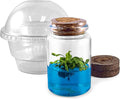 Venus Flytrap Kit, Live Venus Fly Trap Terrarium Included/DIY Beginner Friendly Starter Kit, Educational Growing Plant, Exotic Native