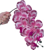 FagusHome 32 Inch Artificial Phalaenopsis Flowers 6 Pcs Artificial Orchid Flowers Stem Plants for Home Décor (Pink Piebald)
