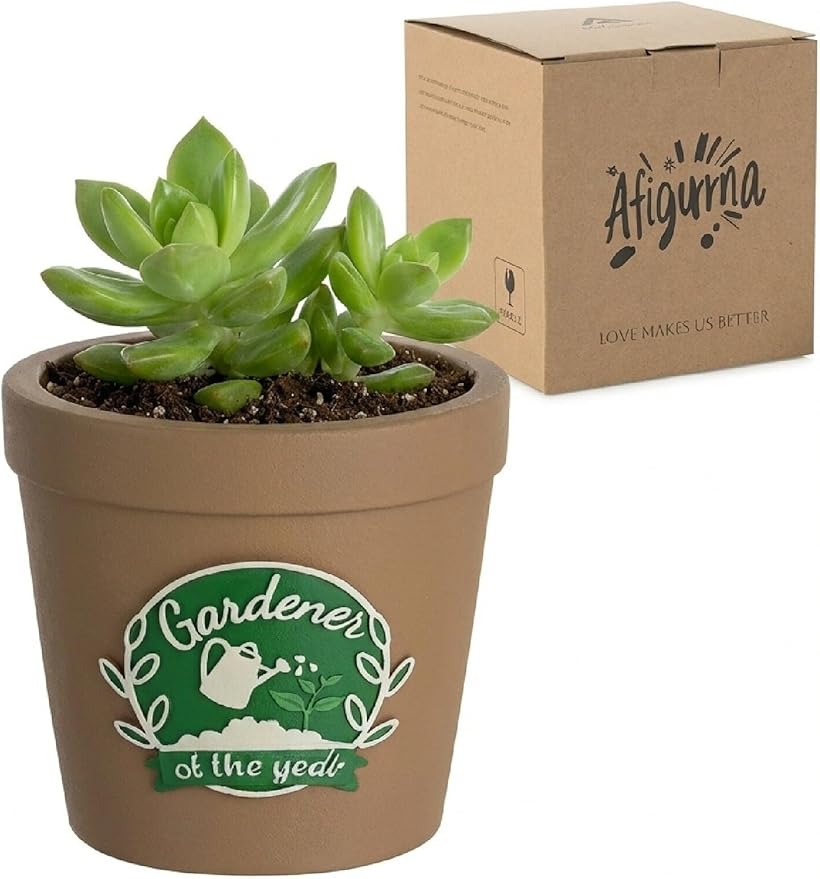 Gardening Gifts for Women: Gardener of the Year Planter - Funny Garden Gifts for Plant Lovers Gardeners Mom Grandma - Cool Plant Pot Present for Birthday Mother's Day Christmas