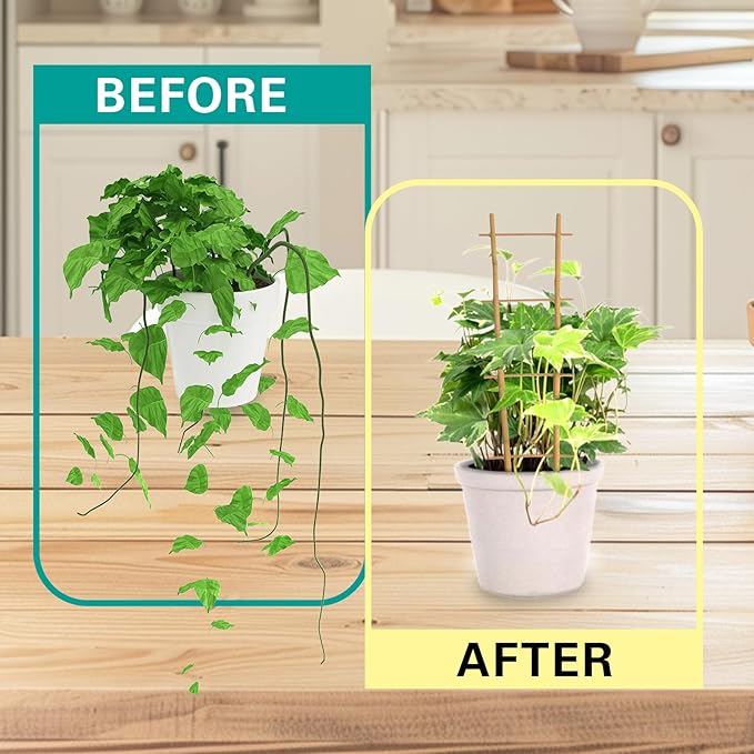 Bamboo Trellis 2FT 3 Pack, S2 Natural Bamboo Plant Ladder Stakes 24 Inch, Fan-Shaped Plant Support Stand for Orchid Vines, Monarchs, Ivy and Other Plants Climbing, Help Plant Growth