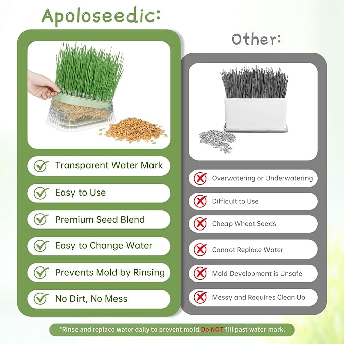 Cat Grass for Indoor Cats with 5 Pack Non GMO Wheat Seeds, Organic Grass Growing Kit, Soil-Free Planter, Perfect for Beginners, Cat Friendly Plants, Ideal Birthday Gift for Cat Lovers