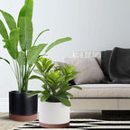 2 Pack Ceramic Plant Saucer Pot Tray 8 Inch, Planter Saucers 4 5 6 7 8 9 10 11 12 13 Inch for Indoors Outdoor, Durable Sturdy Flower Drainage drip Water Tray for Glazed Pots Base (8.5 Inch-Brown)