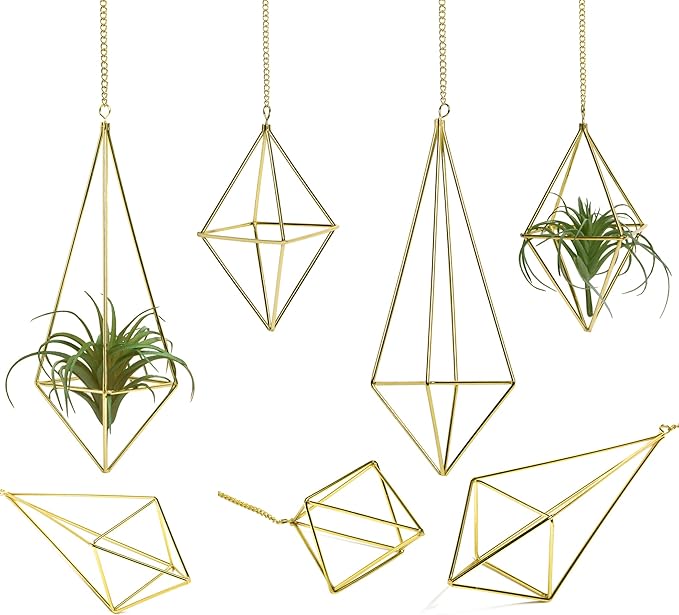 Air Plants Holders Hanging Airplants Hangers Himmeli Metal Wire 4Pcs Geometric Display Airfens Planter Frame 2 Sizes Tillandsia Holder with Chain and Hooks Decor for Home Office