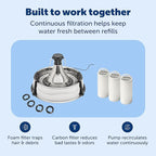 PetSafe Stainless Multi-Pet Fountain with Carbon Filters Great for Multiple Pet Households Customizable Stream Options Scratch and Rust Resistant 128 Oz Water Capacity Fresh, Filtered Water
