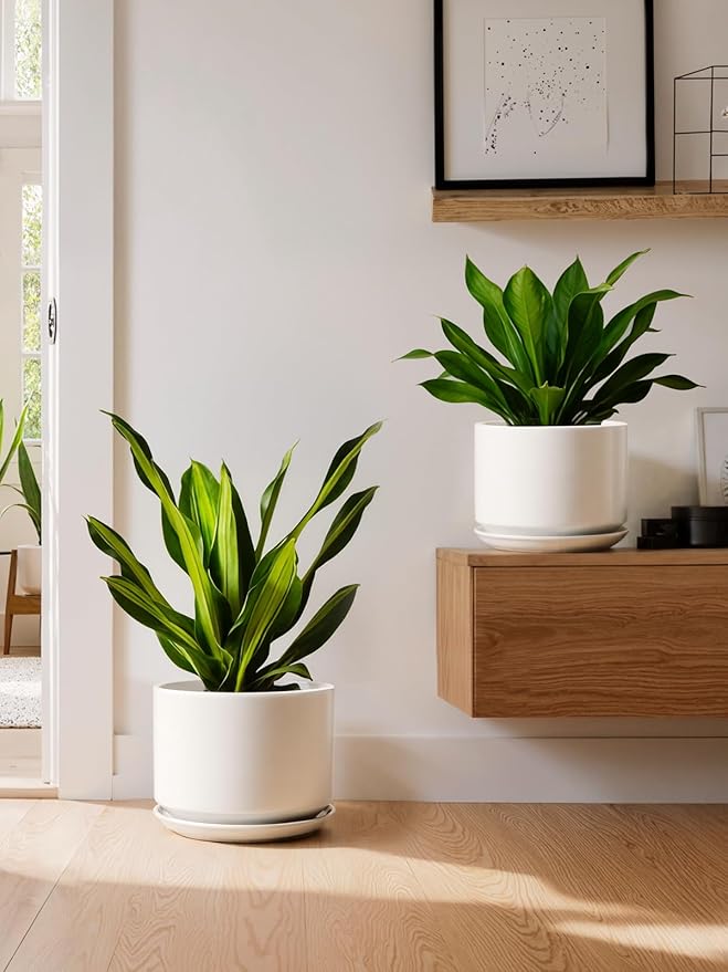 Ceramic Pots for Plants, 10 Inch Plant Pot with Drainage Hole & Saucer, Sturdy & Modern Planters for Indoor Plants, Includes Mesh Screen, Fits Snake Plant & Monstera, White