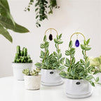 2PCS Small Gold Trellis for Climbing Plants Indoor, Mini Metal Houseplant Climber Support for Potted Plants, Boho Decorative Pot Lattice with Agate for Hoya, Pothos, Ivy, Philodendron