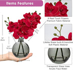 Oairse Red Orchids Artificial Flowers Faux Orchid Arrangement with Clear Glass Vase Set of 2 Real Touch Phalaenopsis Orchid Flowers Orchid Centerpiece for Dining Room Table