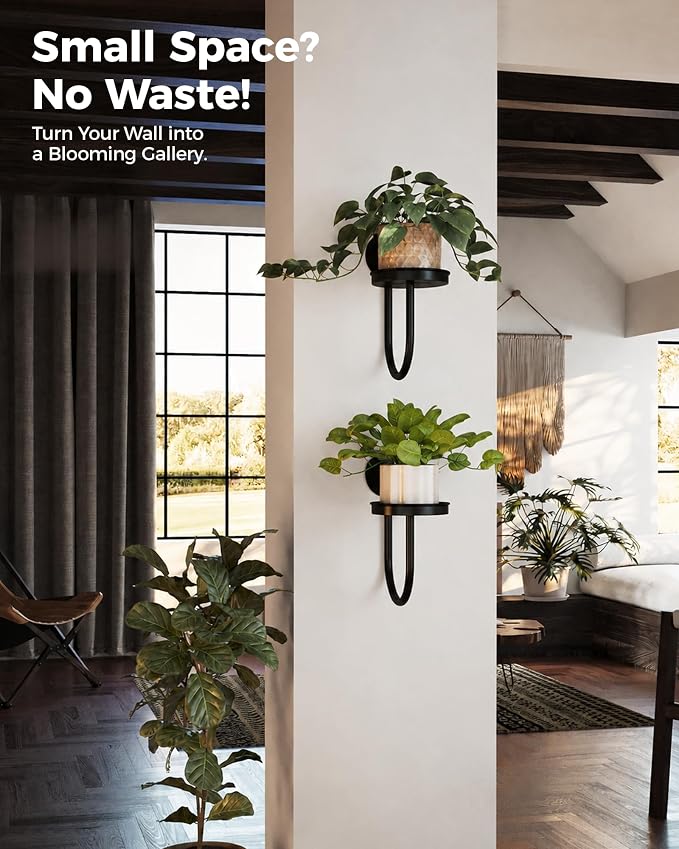 Bamworld Hanging Planters for Indoor Plants Wall Plant Holder Plant Hanger Indoor Wall Planters Window Plant Shelves Hanging Plant Holder Window Plant Hanger Plant Decor Black 2pc