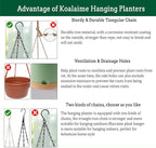 Koalaime Hanging Planter Self Watering 10 Inch, 2 Pack Indoor Outdoor Hanging Baskets, Hanging Flower Pots with Drainage Hole & 2 Kinds of Plant Hangers for Garden Home Decor(Green)…