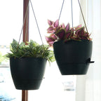 SwinDuck 10 Inch Self Watering Hanging Pots, 2 Pack Hanging Planters with 40oZ Deep Reservior for Indoor Outdoor Plants Flowers, Black Speckles