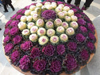 Seeds Flowering Kale Cabbage Ornamental Decorative Large-Leaved Mix Beatiful Cut Flowers for Planting Non GMO