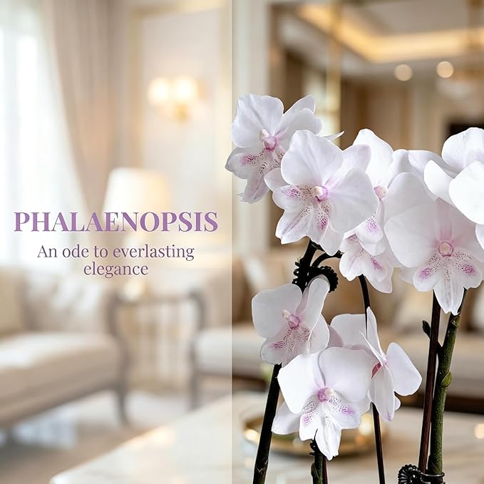 5 Pack Real Touch Artificial Orchids - Silk Flowers for Home Decor, Zero Maintenance Fake Flowers for Vase, Living Room, Office, Bedroom Decoration, Realistic Indoor Artificial Plants