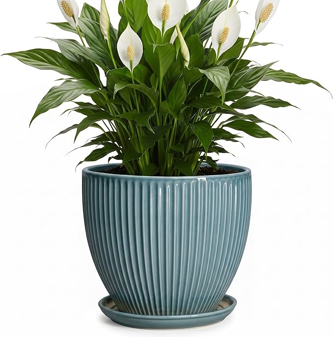 Ceramic Planter, 8 Inch Plant Pot Indoor with Drainage Hole and Saucer, Decorative Planters for Indoor Plants, Modern Flower Pots, Round Planter, Room Decor, Gifts for Plant Lovers, Glaze Blue
