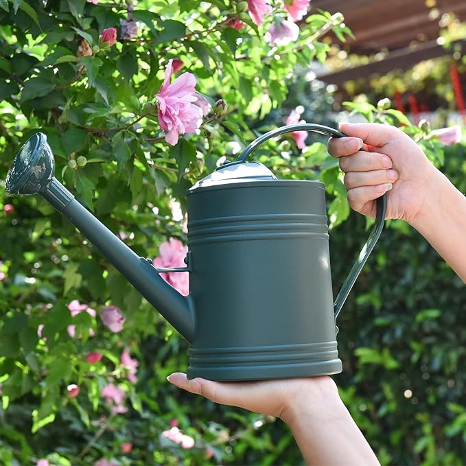Plastic Watering Can for Indoor Plants Outdoor Garden Flowers - House Plant Watering Can with Sprinkler Head (1/2 Gallon, Green)