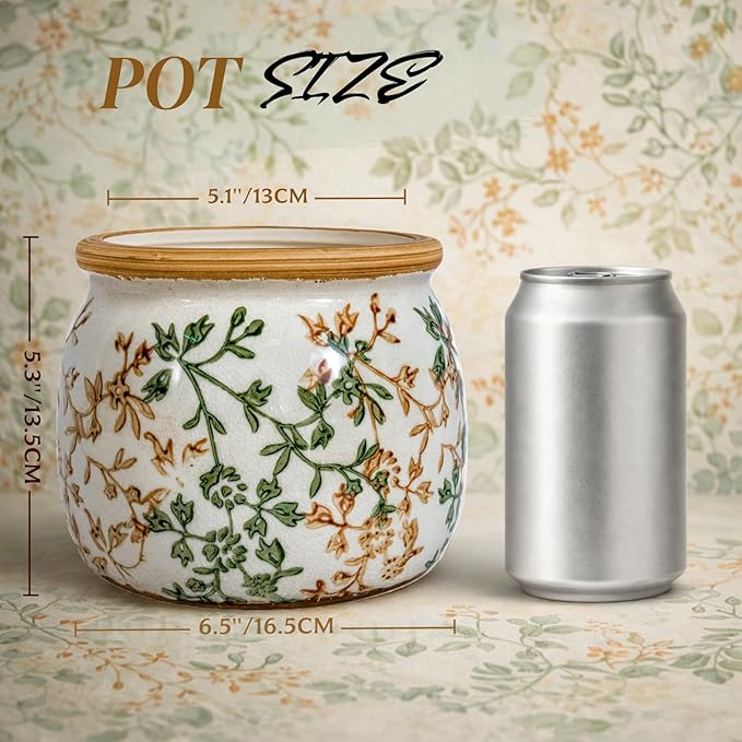 Vintage Ceramic Flower Pot - Indoor Outdoor Planters with Drainage Holes & Filter Screen, 6.5’’ Small Rustic Farmhouse Decorative Plant Pots for Garden/Patio/Balcony (Bicolor Vines, Small)